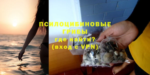 гашик Каменск-Шахтинский
