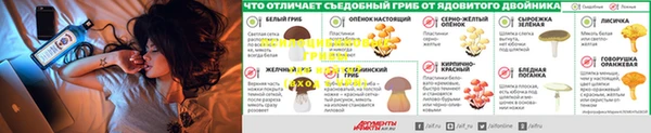 гашик Каменск-Шахтинский